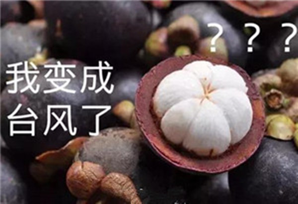 “山竹”還未走遠，但貝朗全自動彎線機已正常上班啦！