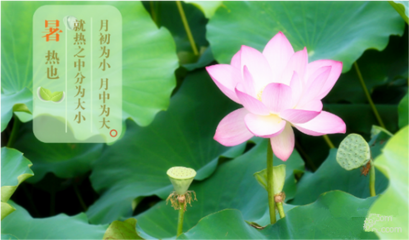 暑臻三伏醉難熬，拭汗揮巾似雨飄——鐵絲成型機