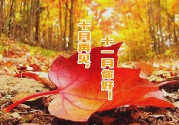 十月再見、十一月你好