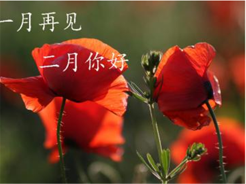 一月再見，美好的二月你好啊