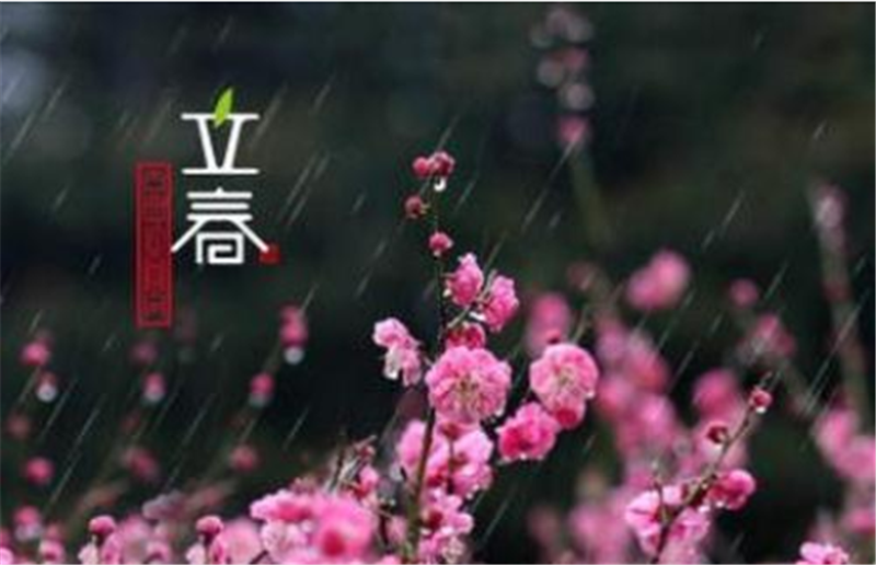 “立春“一過，就意味著冬天已經結束啦