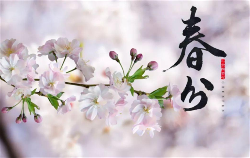 二十四節氣——春分有哪些習俗？
